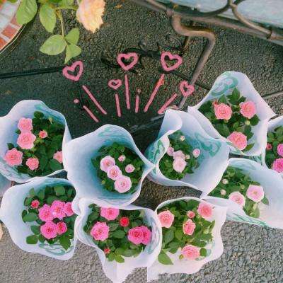 澳门·威斯尼斯wns888入口手机app下载截图